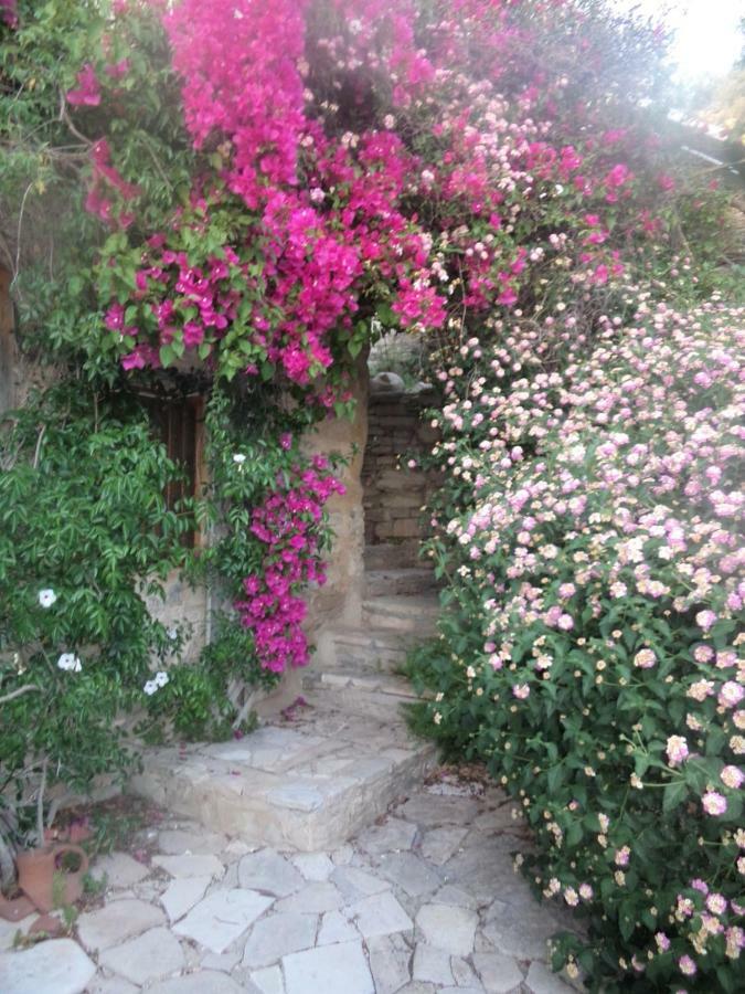 Willa Oleander Stone House Lemona Zewnętrze zdjęcie
