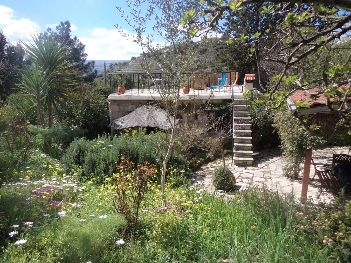 Willa Oleander Stone House Lemona Zewnętrze zdjęcie
